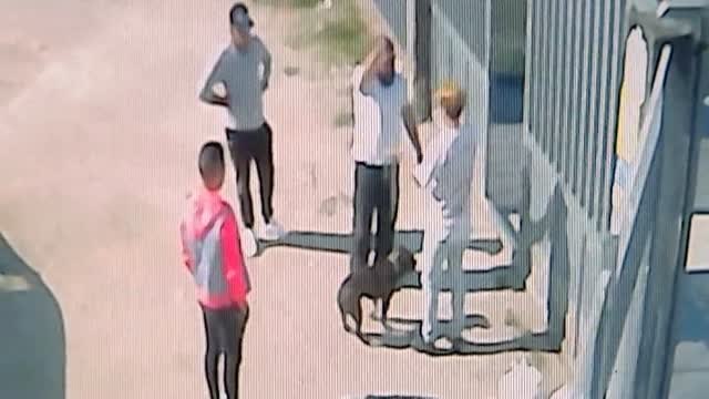 Abandonan en una protectora a un animal con heridas sospechosas de haber participado en peleas de perros