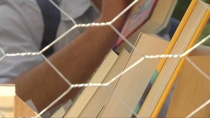 Biblioteca gigante en la Plaza de España de Sevilla