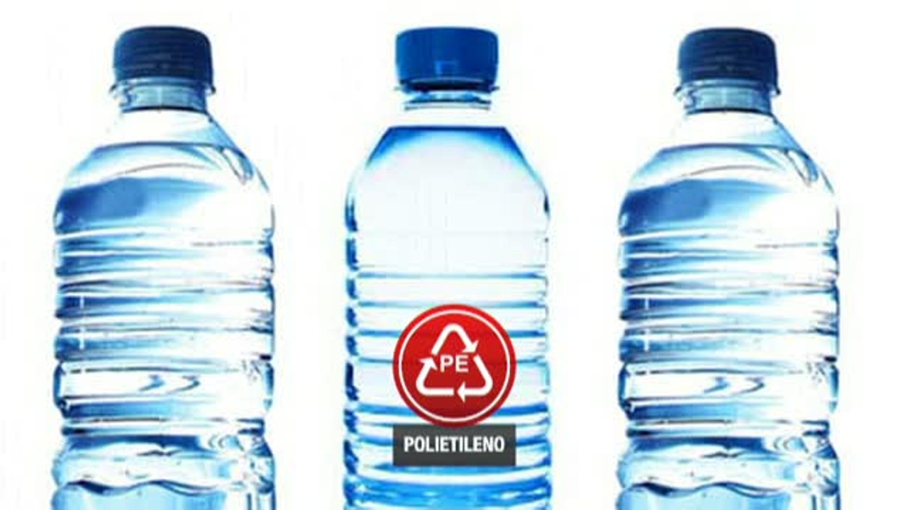 Los gusanos que comen el plástico