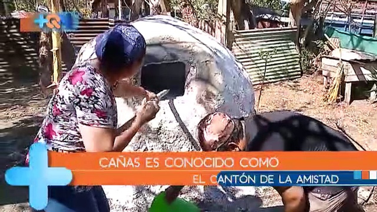 mqn-canton-cañas-010419