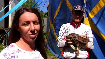 Diez días de función del Circo de Vienna con la polémica bien encendida