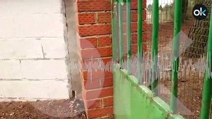 Entrevista a Rafael, padre del niño de la asesora de Podemos (Parte 2)