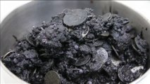 Extraen casi mil monedas del estomago de una tortuga marina en Tailandia
