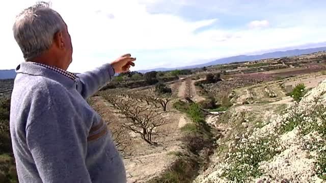 Un niño y una niña pequeños pasan la noche junto a su padre muerto y su madre herida tras un accidente de coche