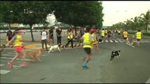 Multitudinaria carrera perruna en Manila por una ciudad más justa para las mascotas