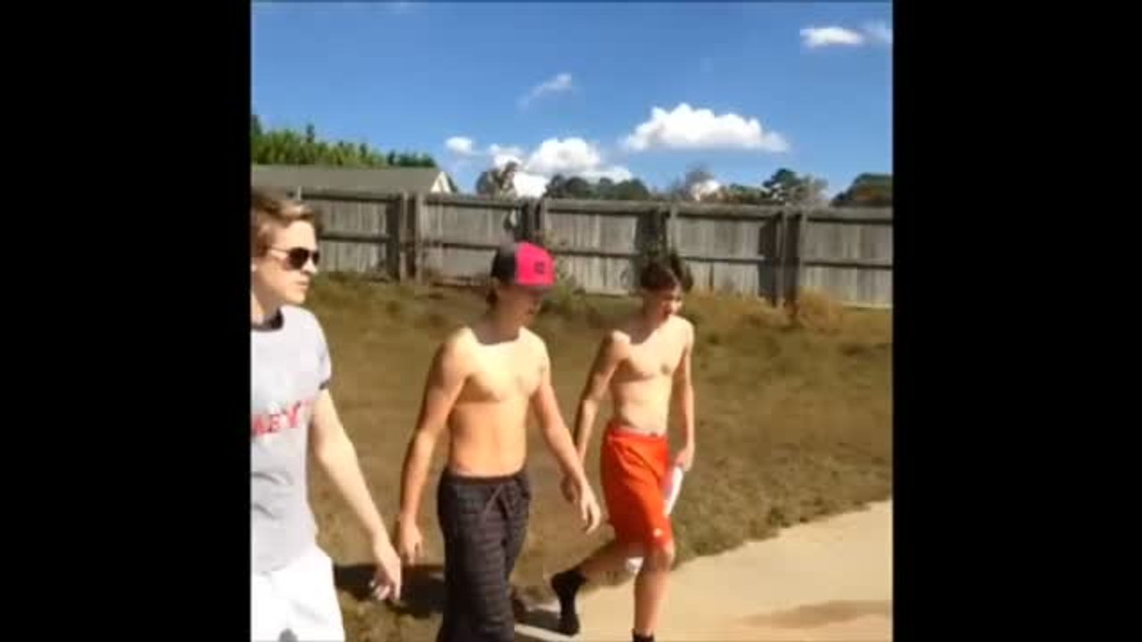 Rusia celebra una de las mayores ferias internacionales de gatos del mundo