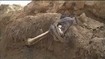 Descubren en Mosul una fosa común con más de 500 cuerpos