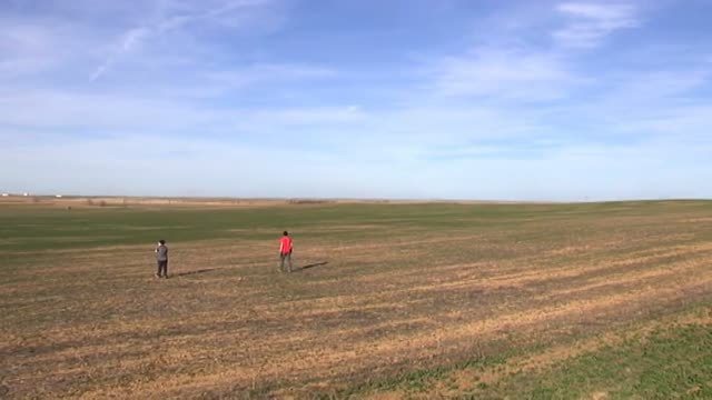 Más de dos mil nidos de rapaces se instalan para controlar la plaga de topillos