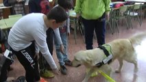 Perros contra el acoso escolar