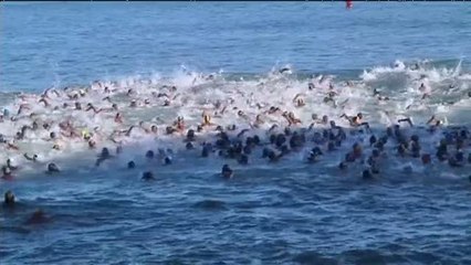 1.500 srilanqueses participan en una carrera a nado en mar abierto