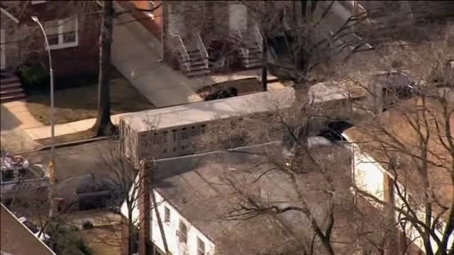 Toro suelto por las calles de Nueva York