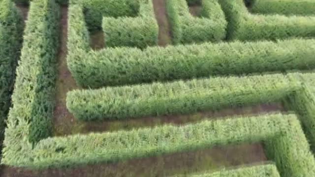 El laberinto más grande de España está en Cantabria