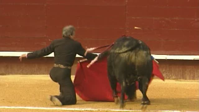 Los hijos del Cordobés unidos por el toreo