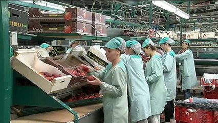 El paro bajó en 2016 a niveles de hace siete años