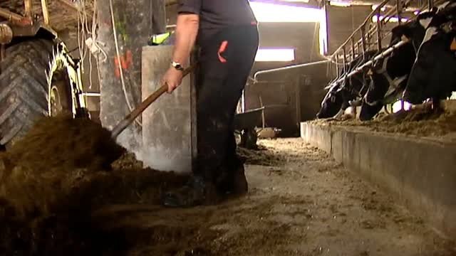 Galicia hace recuento de daños tras el temporal