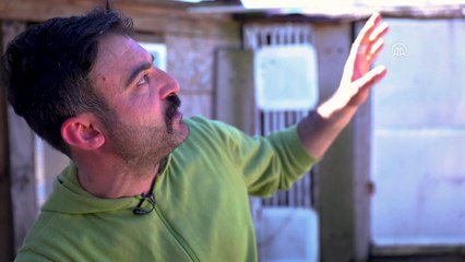 Çay ocağını kuşlar için yuvaya dönüştürdü (2) - İSTANBUL