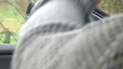 Los anticapitalistas, claves para el desempate en Podemos