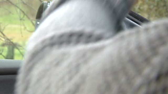 Los anticapitalistas, claves para el desempate en Podemos