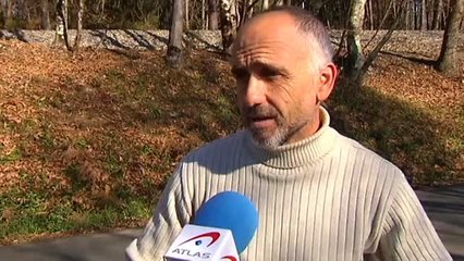 Galicia ya no es verde