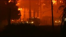 Chile combate una de las peores olas de incendios de su historia