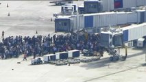Al menos cinco muertos en un tiroteo en un aeropuerto de Florida