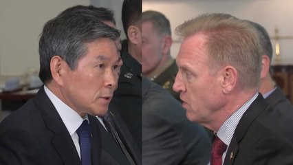 한미 국방장관회담 개최...연합훈련·전작권 전환 협의 / YTN