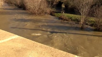Arrojada al río una mujer a manos de su pareja