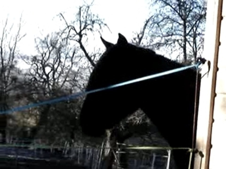 Nouvel an 2007+ sueno 032