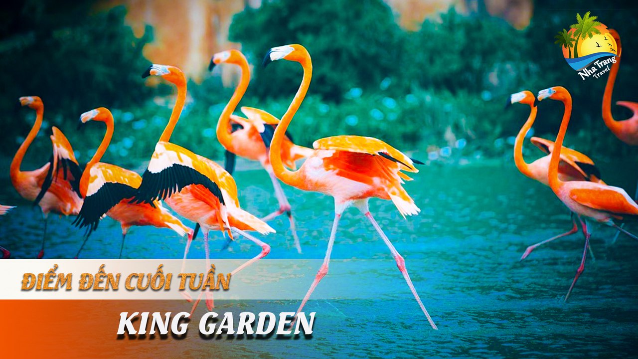 [ĐIỂM ĐẾN CUỐI TUẦN] -  TRẢI NGHIỆM THÚ VỊ TẠI VƯỜN QUÝ VƯƠNG | NHA TRANG TRAVEL
