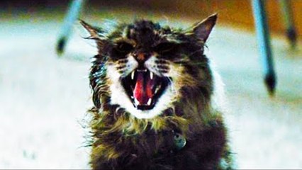 Hayvan Mezarlığı Orijinal Fragman (4)