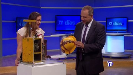 7 Días informe especial ICE