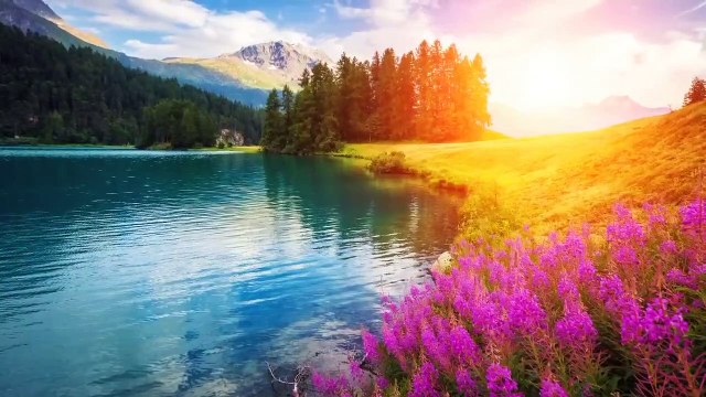 Sommeil de la Musique, de l'Apaisement, de la Musique pour le Soulagement du Stress, Musique de Relaxation, 30 Minutes de Sommeil de la Musique, 2892B