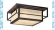 Vaxcel RBOFU120EB 2 Light Robie Flush Outdoor Close to Ceiling Light Espresso Bronze