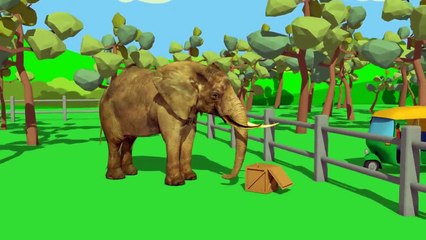 والعربات تسليم الأغذية إلى حديقة الحيوان - فيديو للأطفال والرضع | مجنون المورد