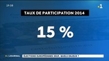 Elections européennes, les enjeux pour la Polynésie