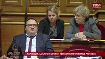 Invité : Didier Mandelli - Territoire Sénat (02/04/2019)