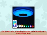 MOCCHI Ceiling Lights with Bluetooth Speaker Multi Colour LED Ceiling Lamp  Smartphone