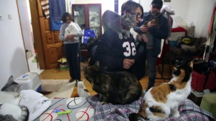 Engelli sokak hayvanlarının 'koruyucusu' oldu - MUĞLA