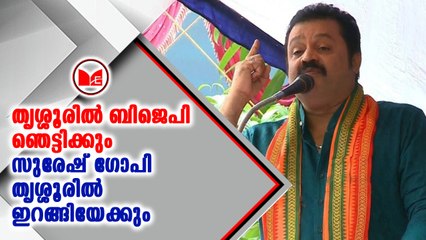തൃശൂരില്‍ സുരേഷ് ഗോപി എന്‍ഡിഎ സ്ഥാനാര്‍ഥിയായേക്കും