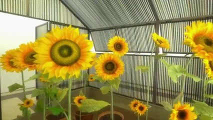 Régions - Chaumont sur Loire : l'art hors-cadre