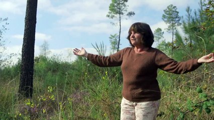 Le Temps des forêts