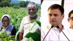 Rahul Gandhi  release Congress Manifesto , big Promises for Farmers Budget | Oneindia News