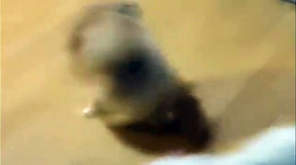 (영양출장마사지) ##D 100%후불-【 Ø1Ø↔5762↔6631 카톡fc81】영양출장안마, 영양출장안마후기, 영양출장안마'만족τ영양출장안마'만족도1위 20대여대생의 최상위 서비스