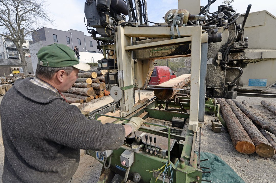 Nancy : le sapin de la place Stanislas transformé en mobilier pour le jardin éphémère