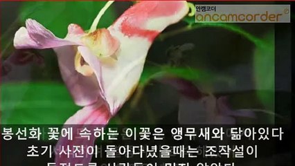 ｛의왕출장안마｝##Ｓ 1ØØ%후불ョ【ØIØ↔9542↔2679 (VVIP)】｛의왕출장안마｝전지역출장마사지｛의왕출장안마｝출장마사지｛의왕출장안마｝출장마사지'출장오피걸φ출장아가씨가격출장안마후기-출장만남후기-출장여대생-24시출장안마-출장모텔-출장오피걸-출장샵추천-출장업소가격-출장서비스강추ㅹㆅㅳ