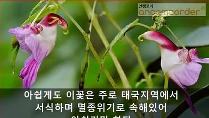 ｛안산출장안마｝##Ｓ 1ØØ%후불ョ【ØIØ↔9542↔2679 (VVIP)】｛안산출장안마｝전지역출장마사지｛안산출장안마｝출장마사지｛안산출장안마｝출장마사지'출장오피걸φ출장아가씨가격출장안마후기-출장만남후기-출장여대생-24시출장안마-출장모텔-출장오피걸-출장샵추천-출장업소가격-출장서비스강추ㅹㆅㅳ