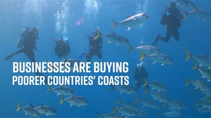 Foreign companies are taking over West Africa's fishing industry