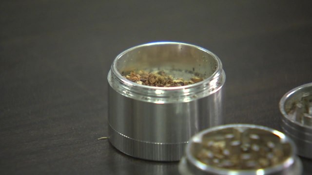 '마약 투약' 현대가 3세 여동생도 대마초 흡연 / YTN