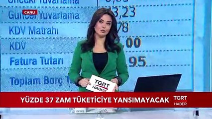 Elektriğe Yüzde 37 Zam Tüketiciye Yansımayacak