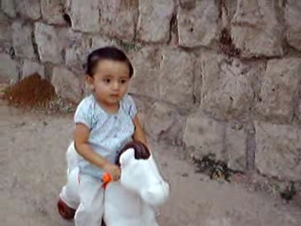 El caballito de Vicki